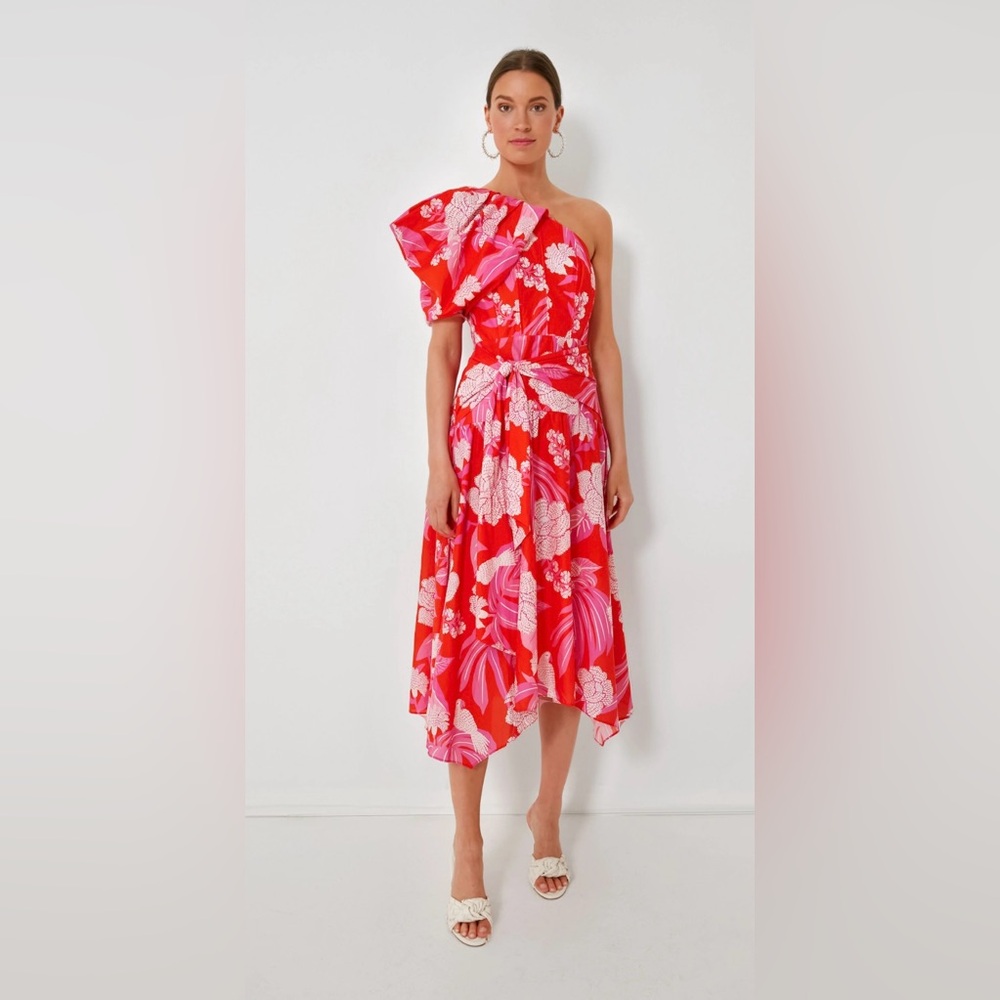 Farm Rio Red Dewdrop Floral Dress